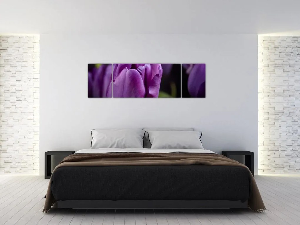 Obraz kwiatów tulipanów (170x50 cm)