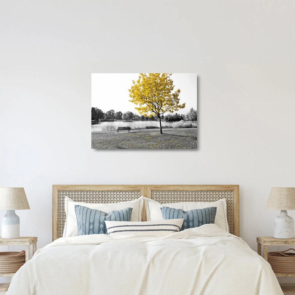Obraz na szkle - Odpoczynek w parku (70x50 cm)