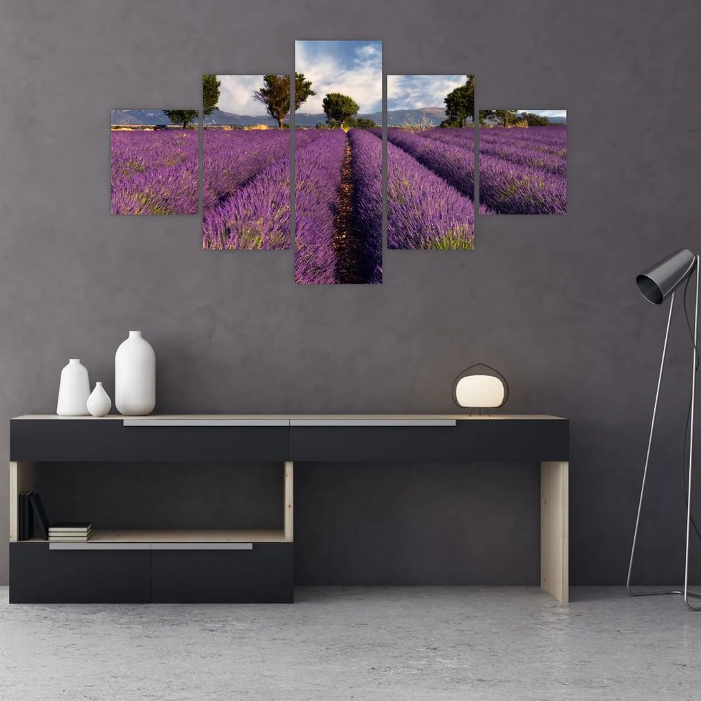 Obraz - Pole lawendy i góry (125x70 cm)