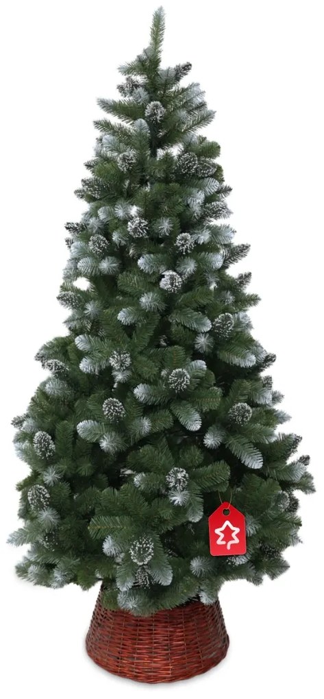 Sosna ośnieżona 180 cm