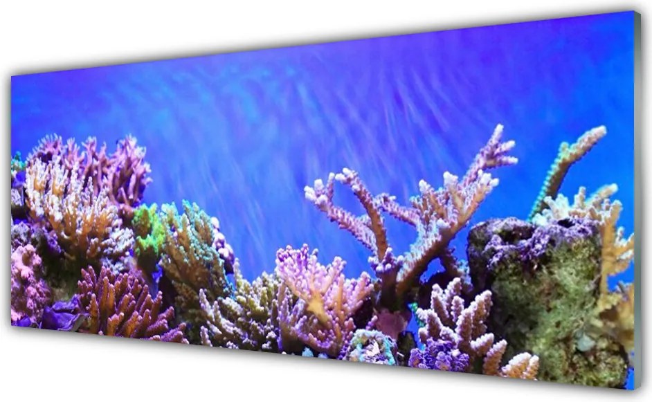 Dekor Szklany do Kuchni Podwodny Świat Rafy Koralowej