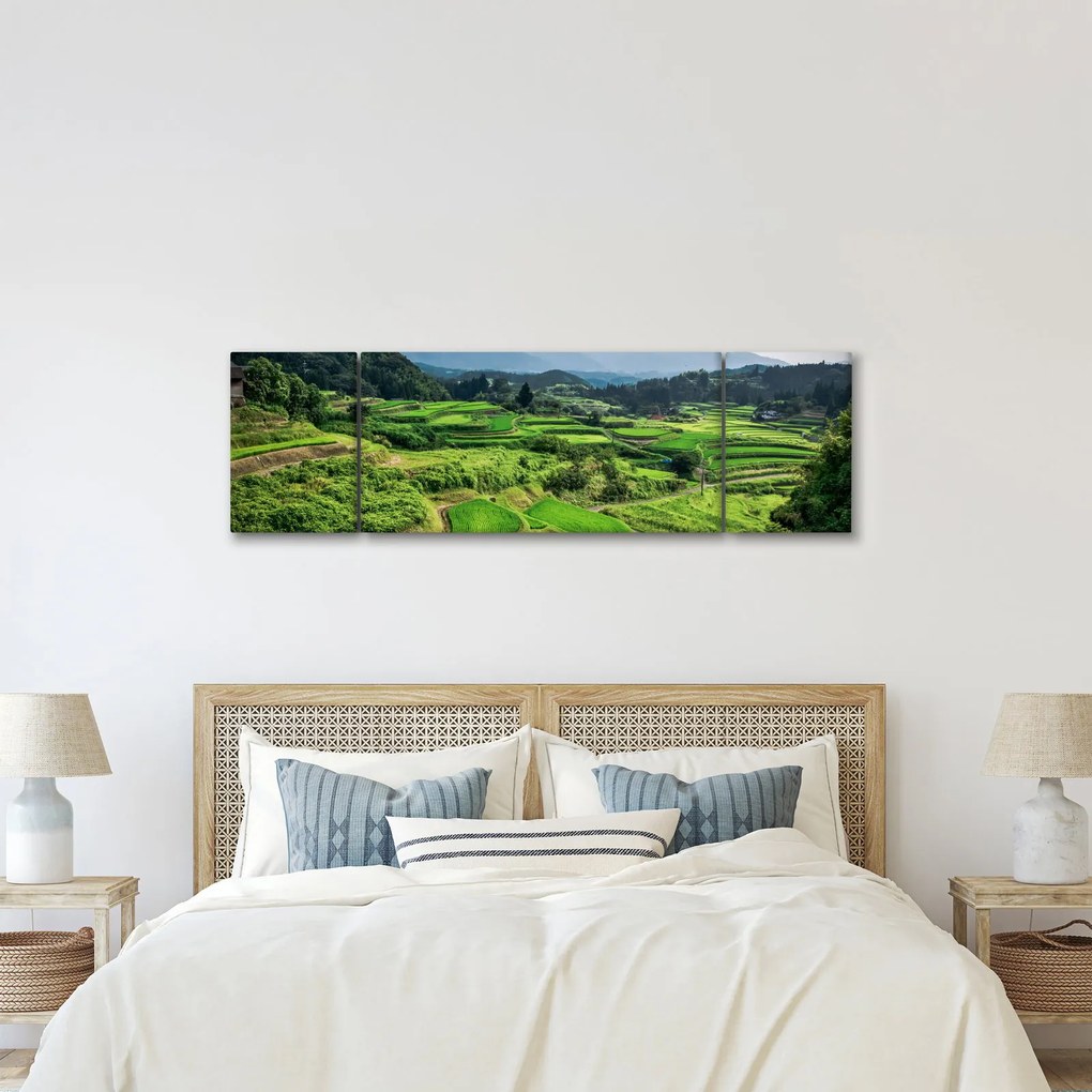 Obraz pól ryżowych (170x50 cm)