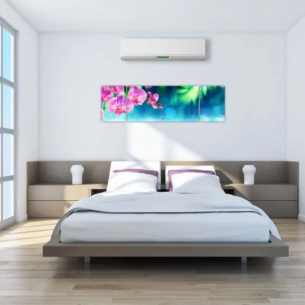 Obraz - Orchidea (170x50 cm)