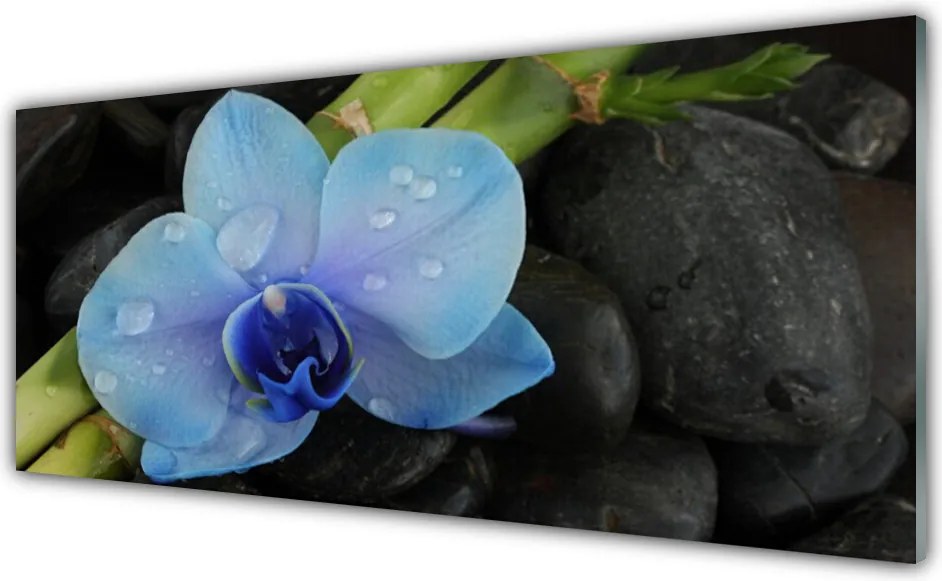 Szkło Dekoracyjne do Kuchni Kwiatowa Harmonia Na Kamieniach