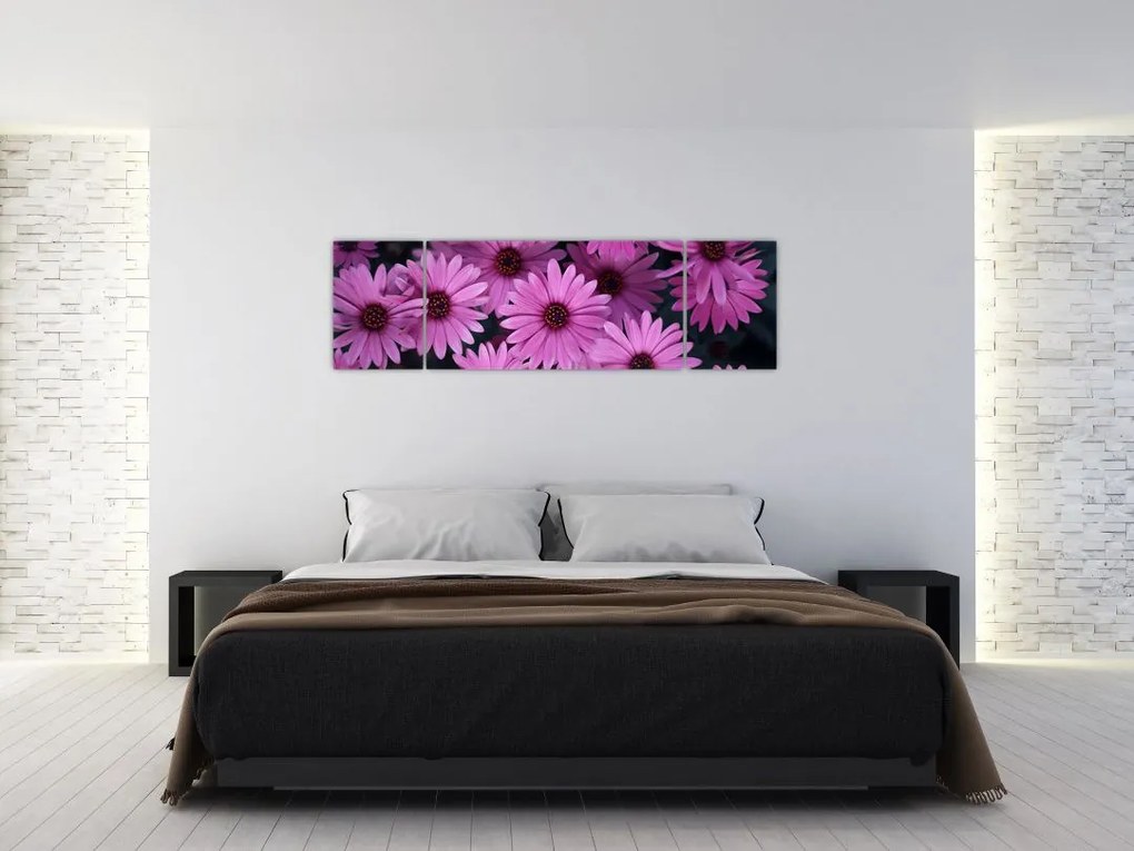 Obraz różowych kwiatów (170x50 cm)