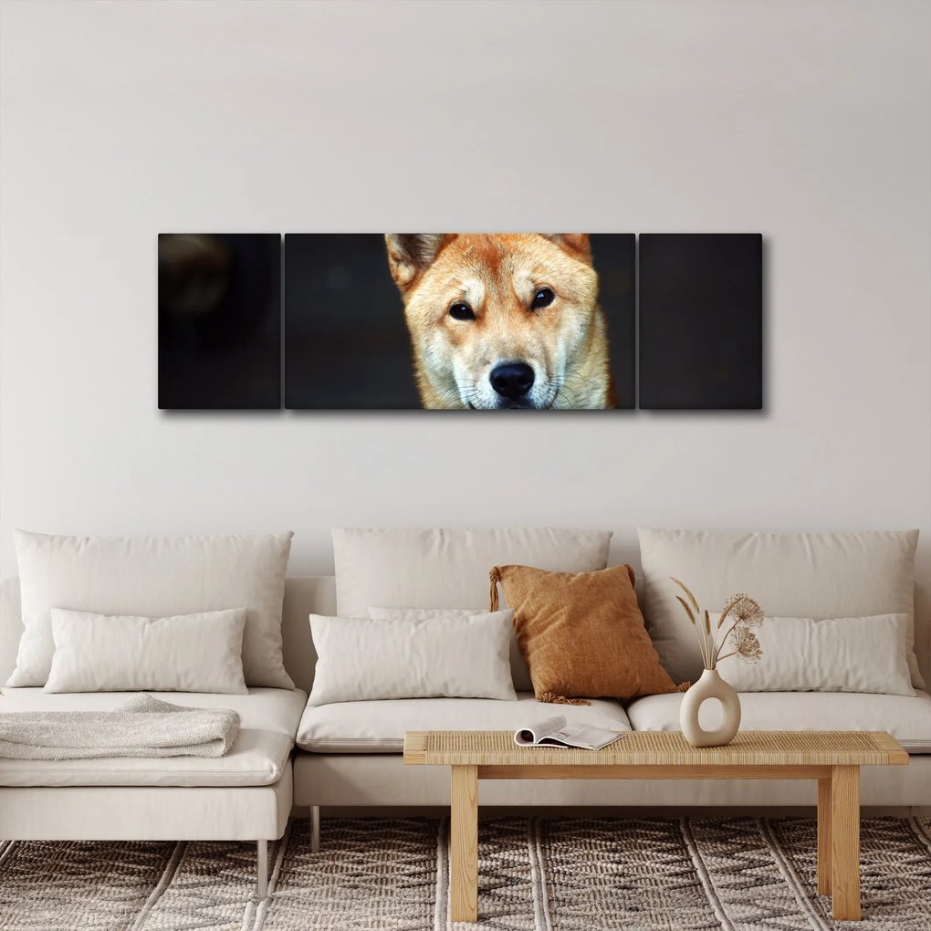 Obraz psa (170x50 cm)
