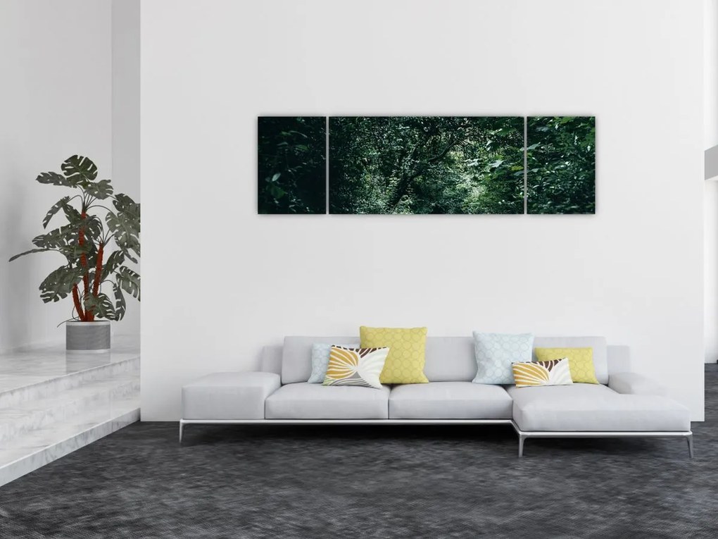 Obraz - Ścieżka przez las (170x50 cm)