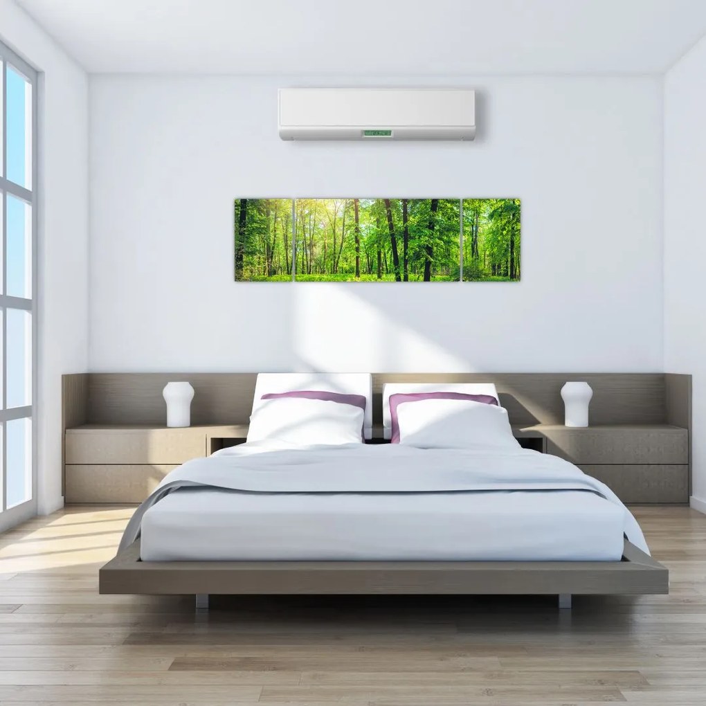 Obraz - Wiosenny las liściasty (170x50 cm)