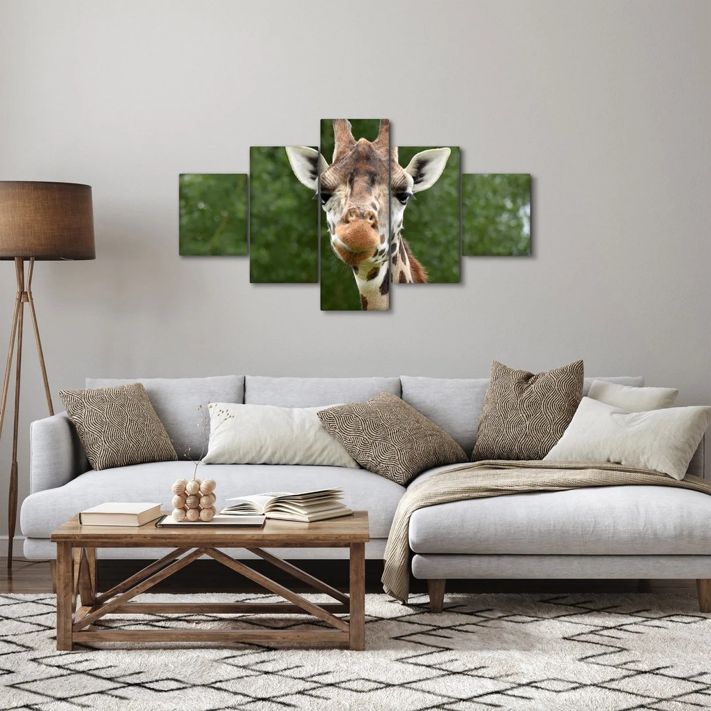 Obraz żyrafy (125x70 cm)