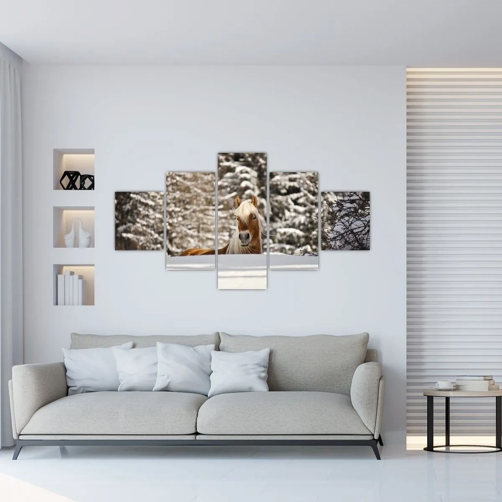 Obraz - Koń w zimowym krajobrazie (125x70 cm)