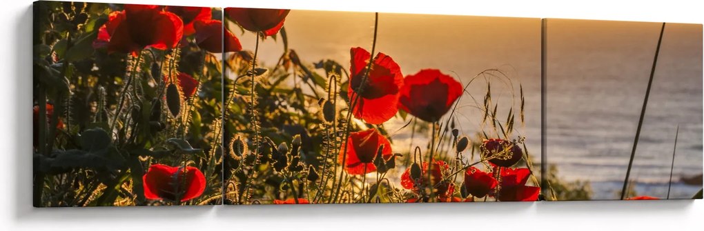 Obraz zachodu słońca z makami (170x50 cm)