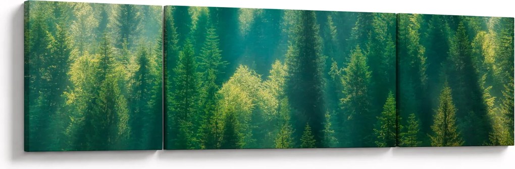 Obraz - Las sosnowy (170x50 cm)