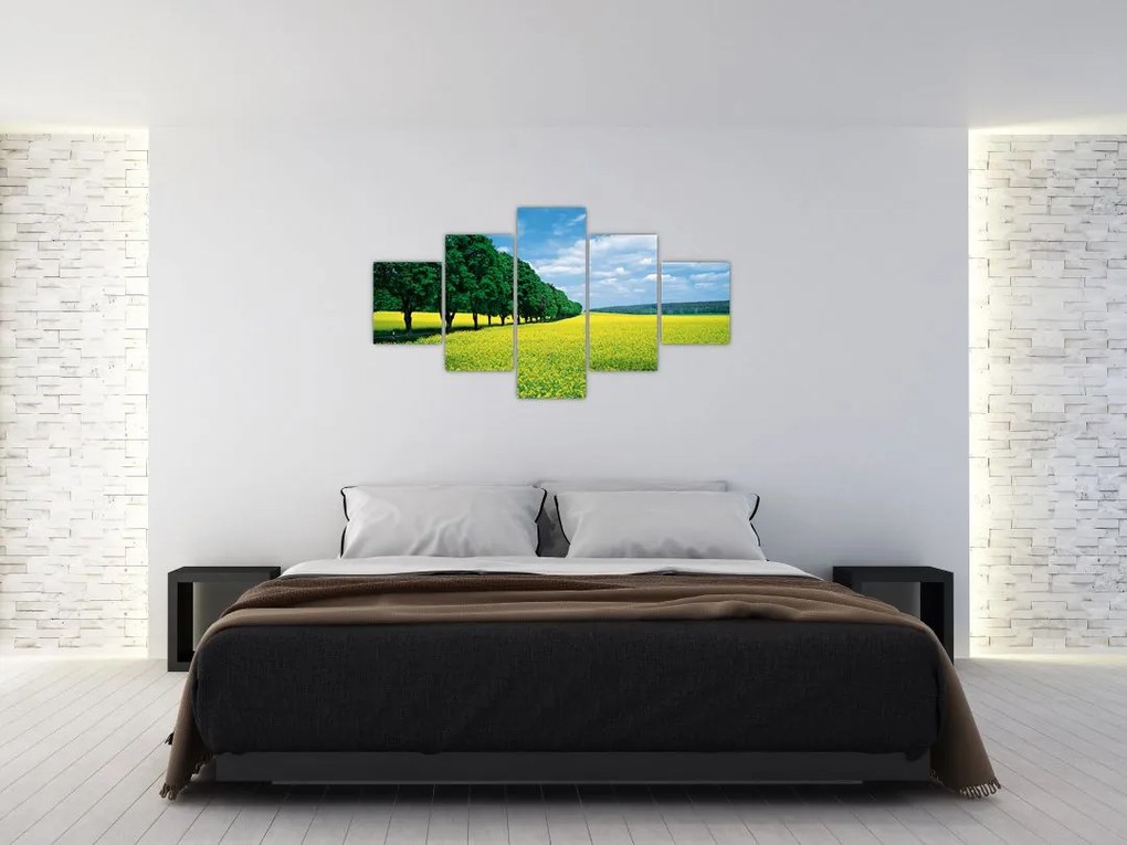 Obraz pola z aleją (125x70 cm)