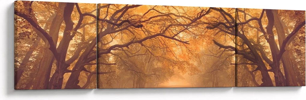 Obraz drogi w jesiennym krajobrazie (170x50 cm)