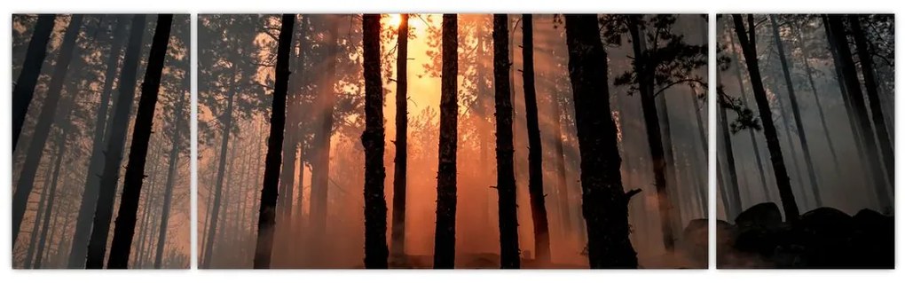 Obraz ciemnego lasu (170x50 cm)