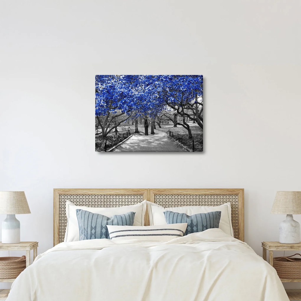 Obraz - Niebieskie drzewa, Central Park, New York (70x50 cm)