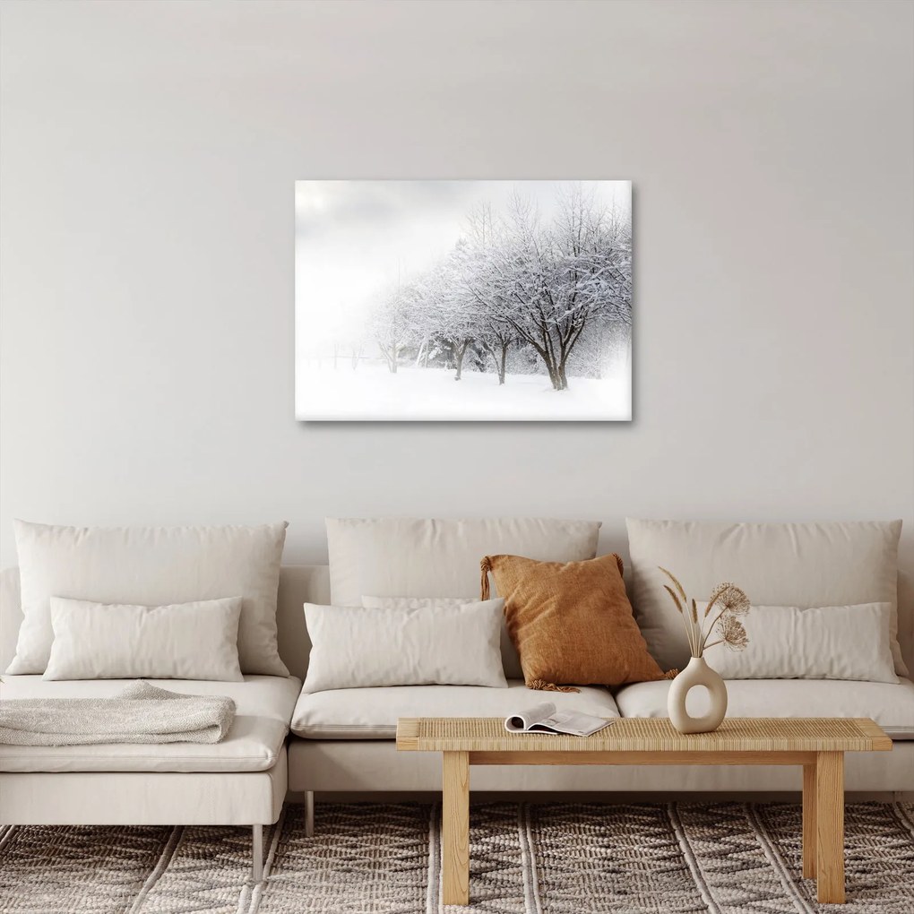 Obraz - Zimowa aleja (70x50 cm)