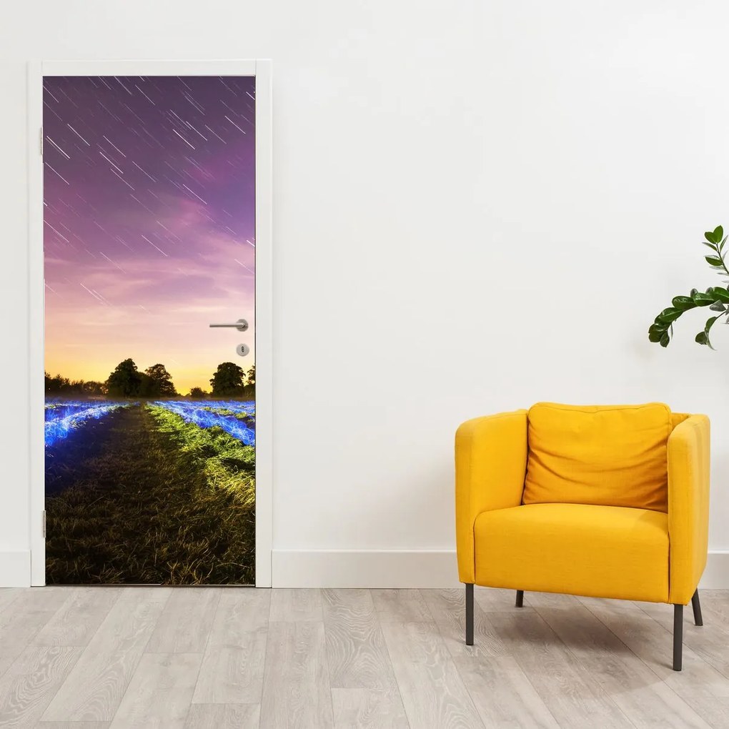 Fototapeta na drzwi - Kolorowe pole (95x205cm)