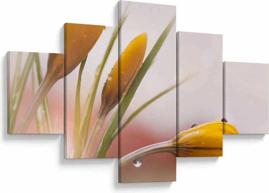 Obraz - Wiosenne kwiaty (125x70 cm)