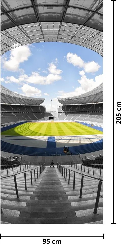 Fototapeta na drzwi - Stadion piłkarski (95x205cm)