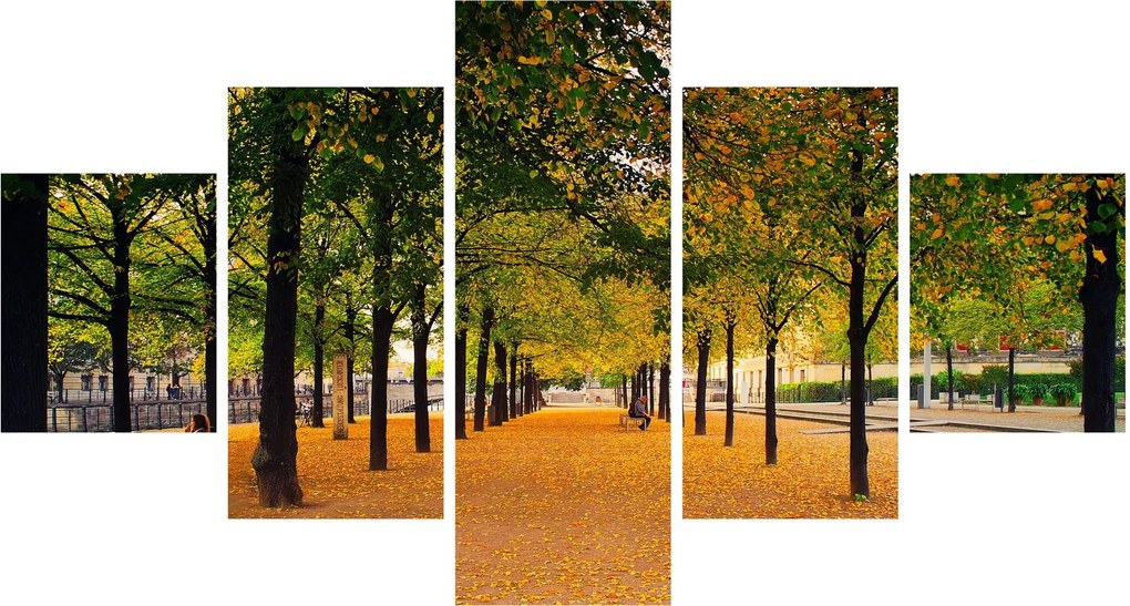 Obraz alei jesiennych drzew (125x70 cm)