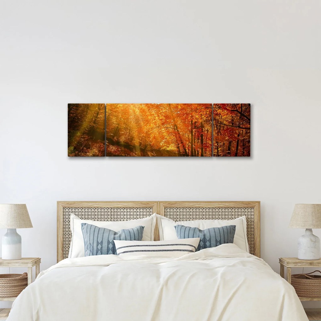 Obraz jesiennego lasu (170x50 cm)
