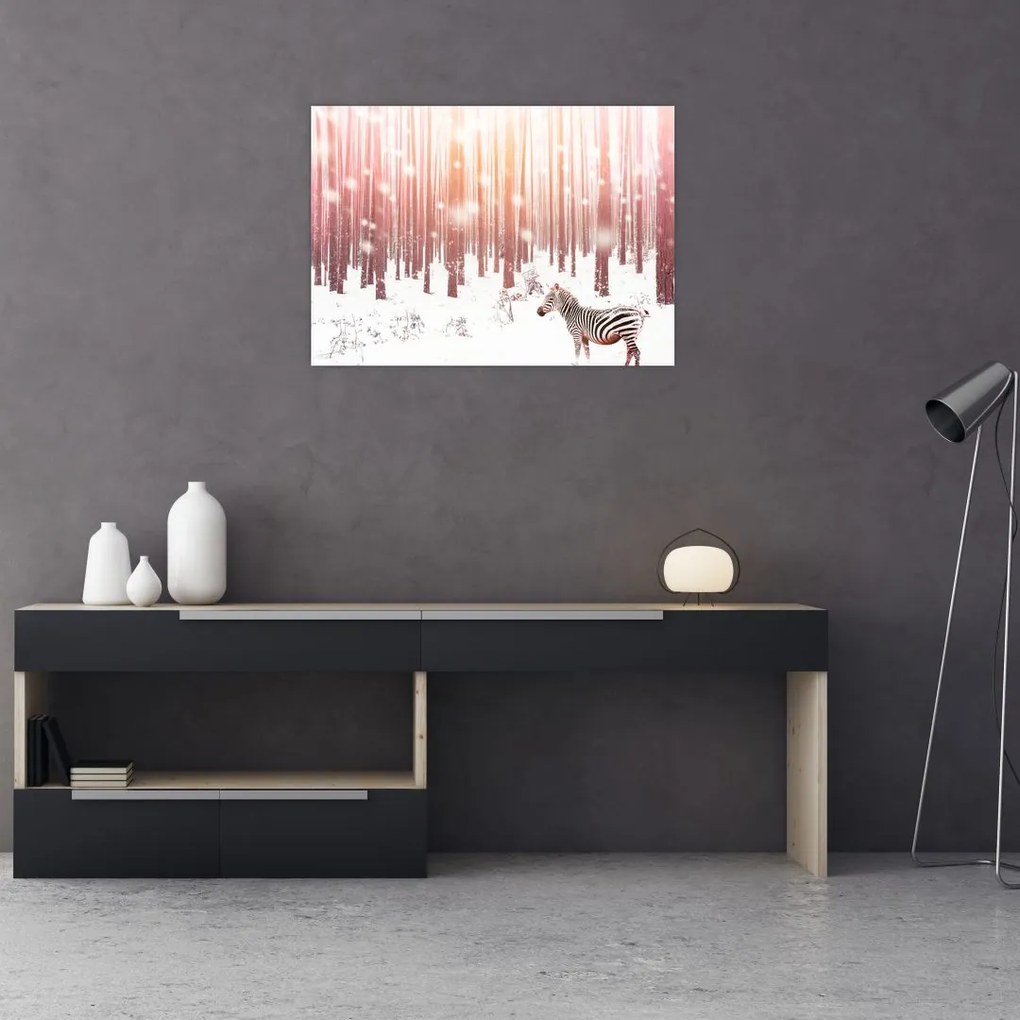 Obraz - Zebra w śnieżnym lesie (70x50 cm)