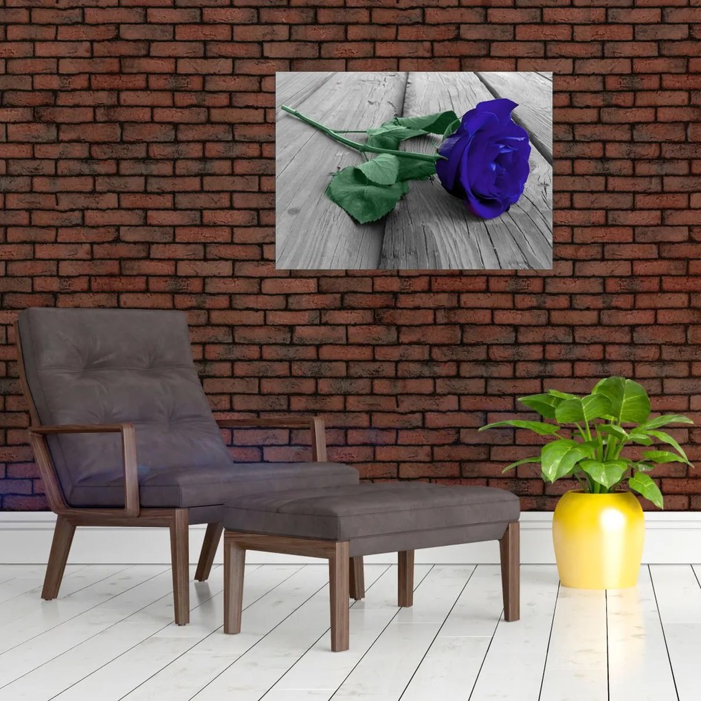 Obraz - Niebieska róża z zieloną łodygą (70x50 cm)