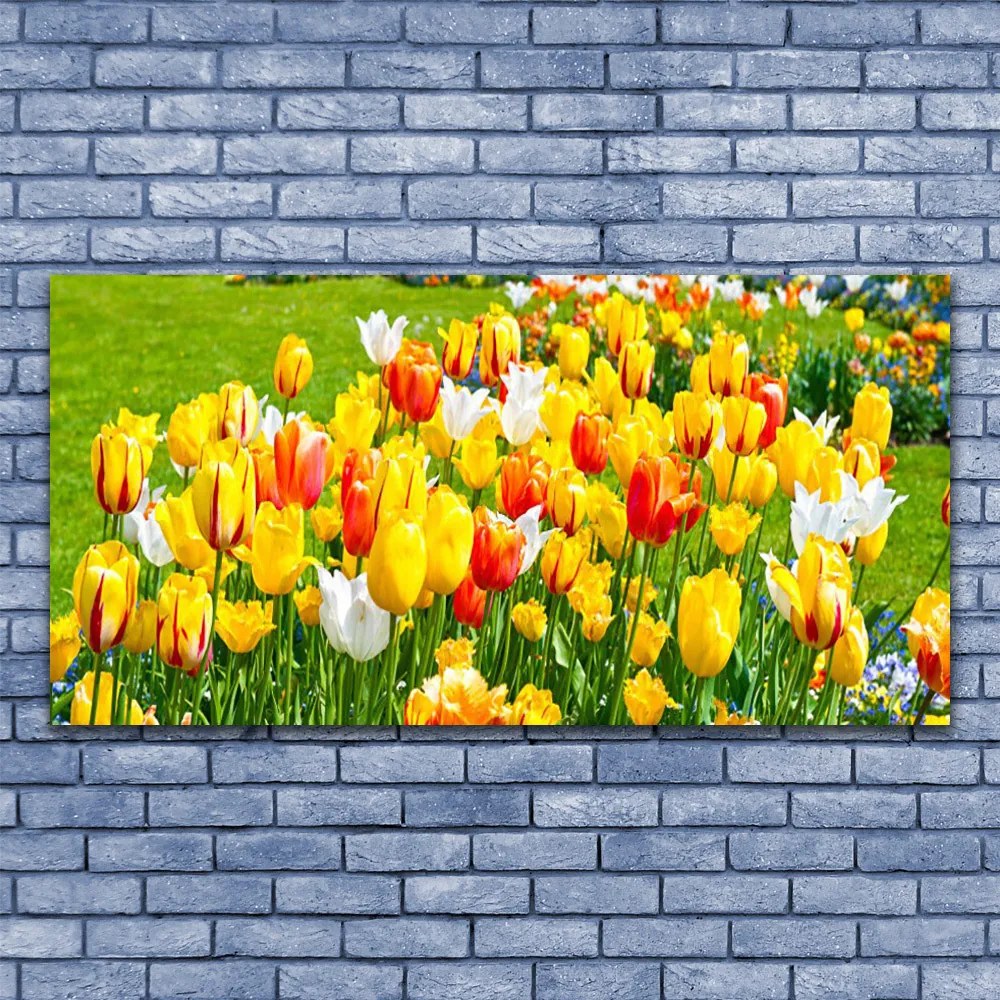 Obraz Canvas Tulipany Kwiaty Natura