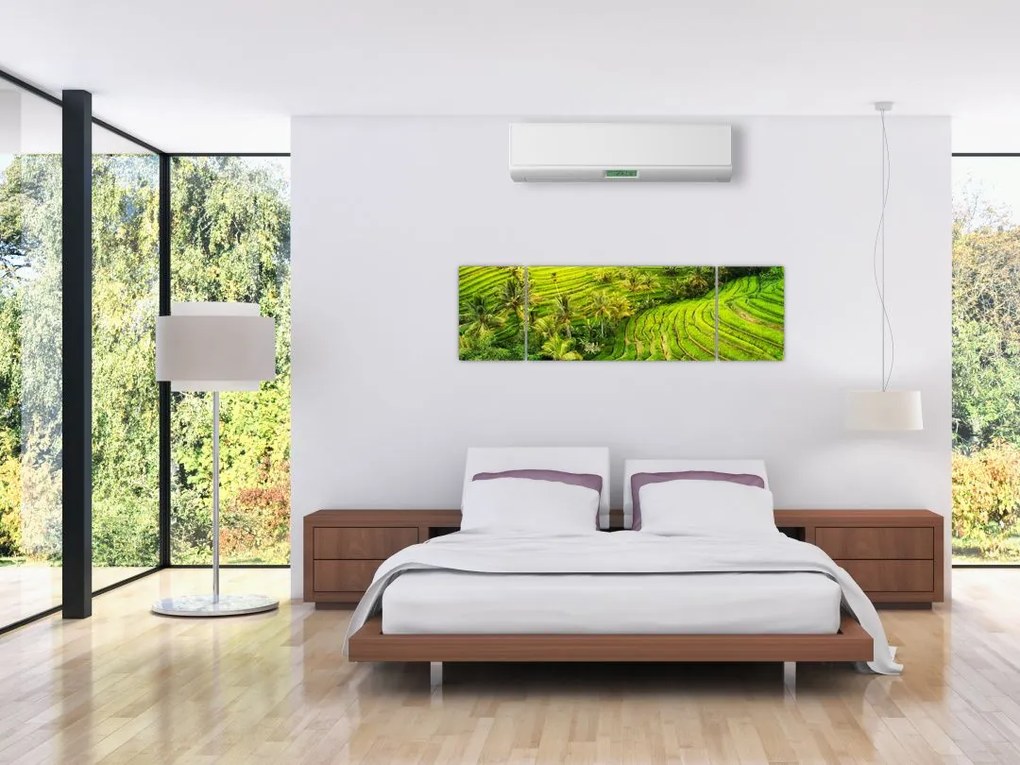 Obraz - Pola ryżowe (170x50 cm)