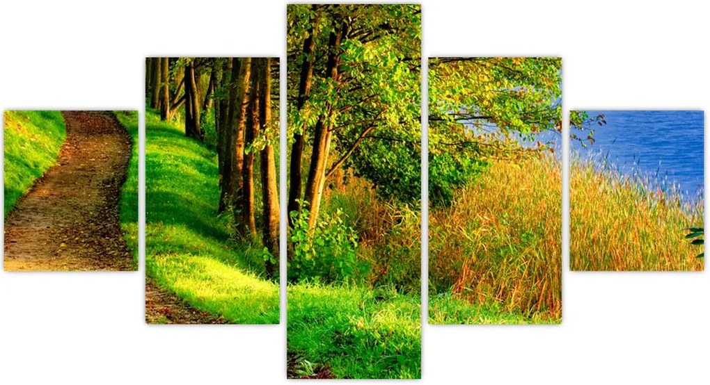 Obraz szlaku wzdłuż wody (125x70 cm)