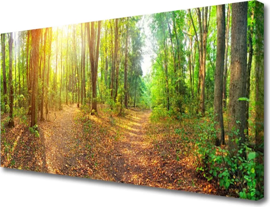 Obraz canvas Tulipany w Blasku Dnia