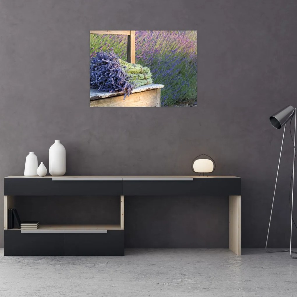 Obraz na szkle - Pęczki lawendy (70x50 cm)