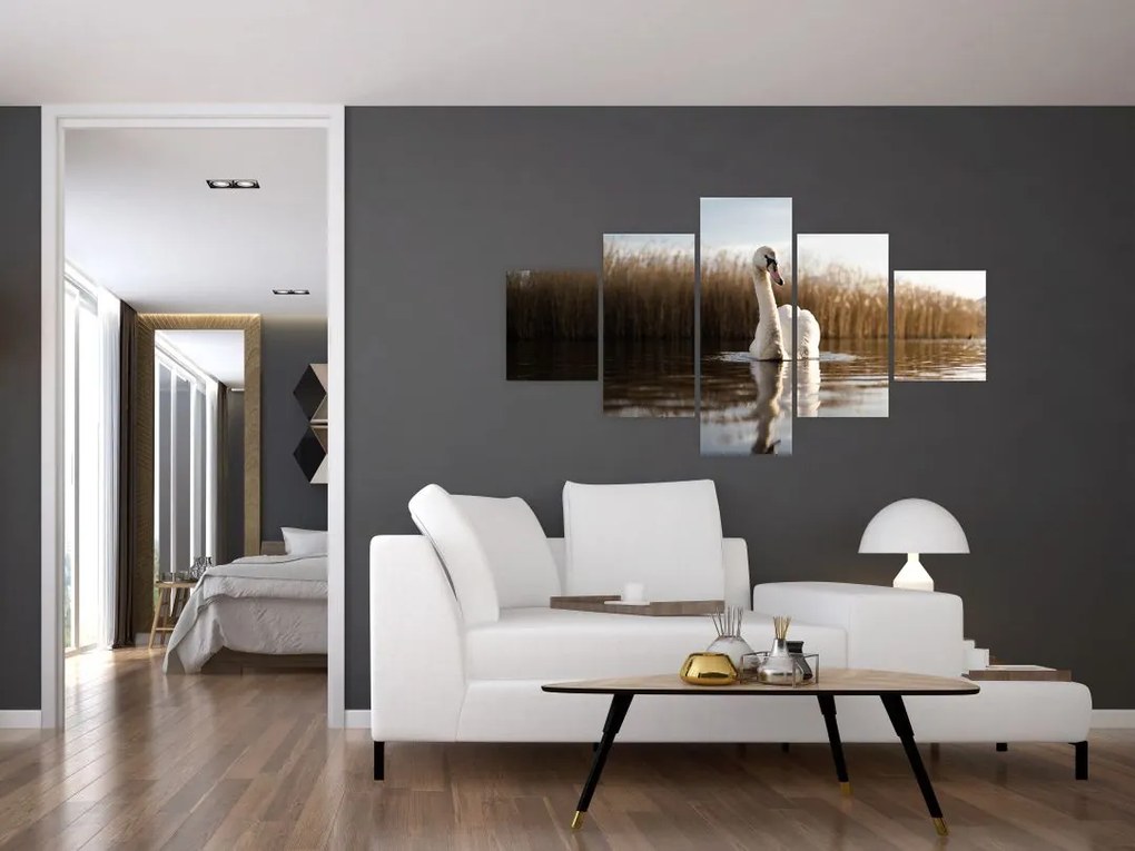 Obraz łabędzia (125x70 cm)