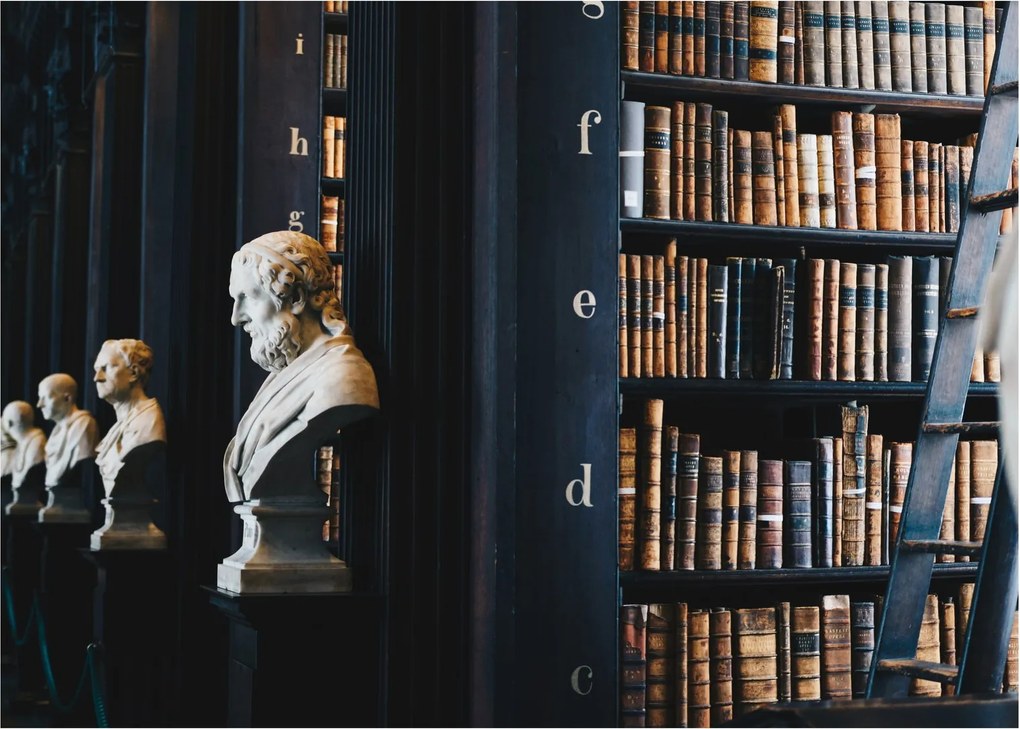 Obraz - W bibliotece (70x50 cm)