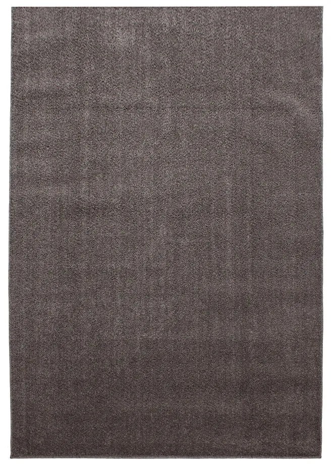 Brązowy dywan 120x170 cm Ata – Ayyildiz Carpets