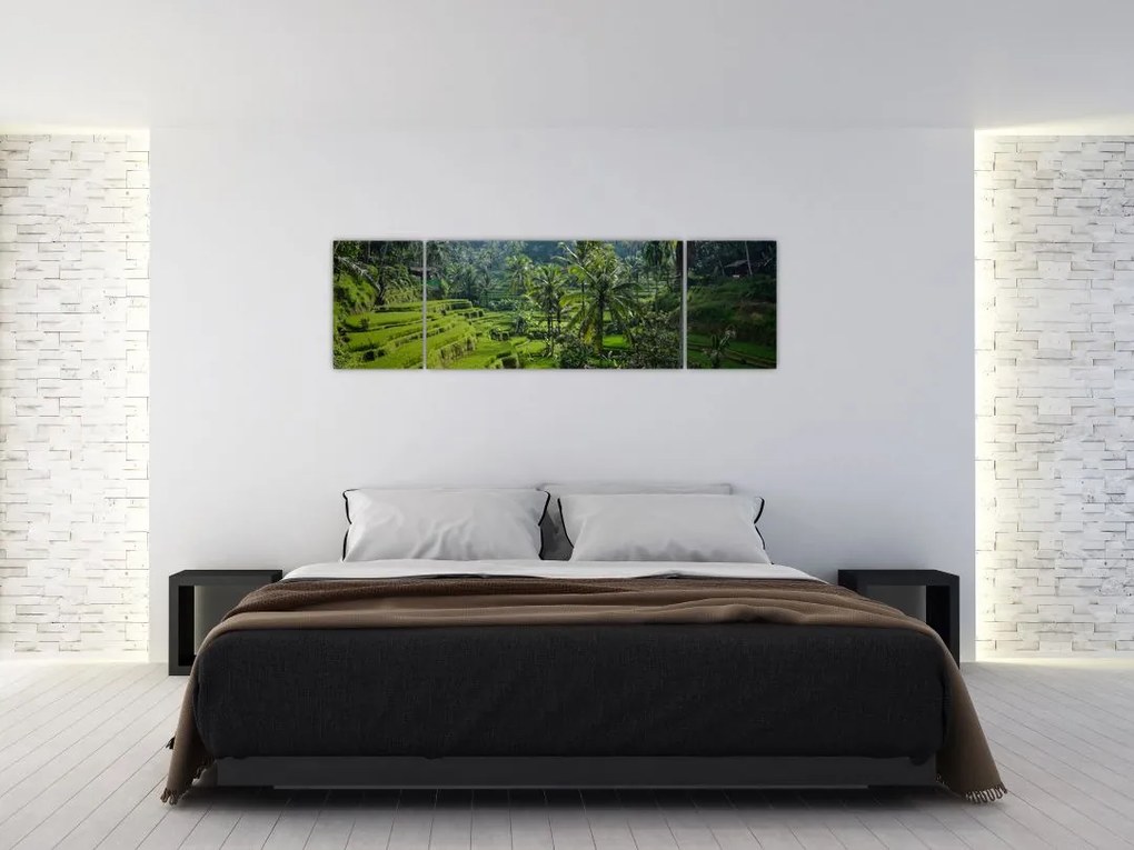 Obraz tarasów ryżowych Tegalalang, Bali (170x50 cm)