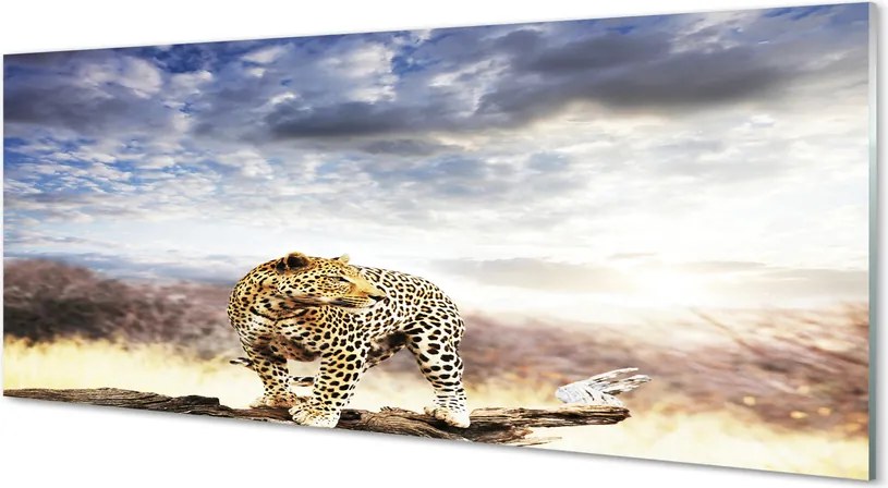 Panel szklany do Kuchni Pantera na tle Chmur