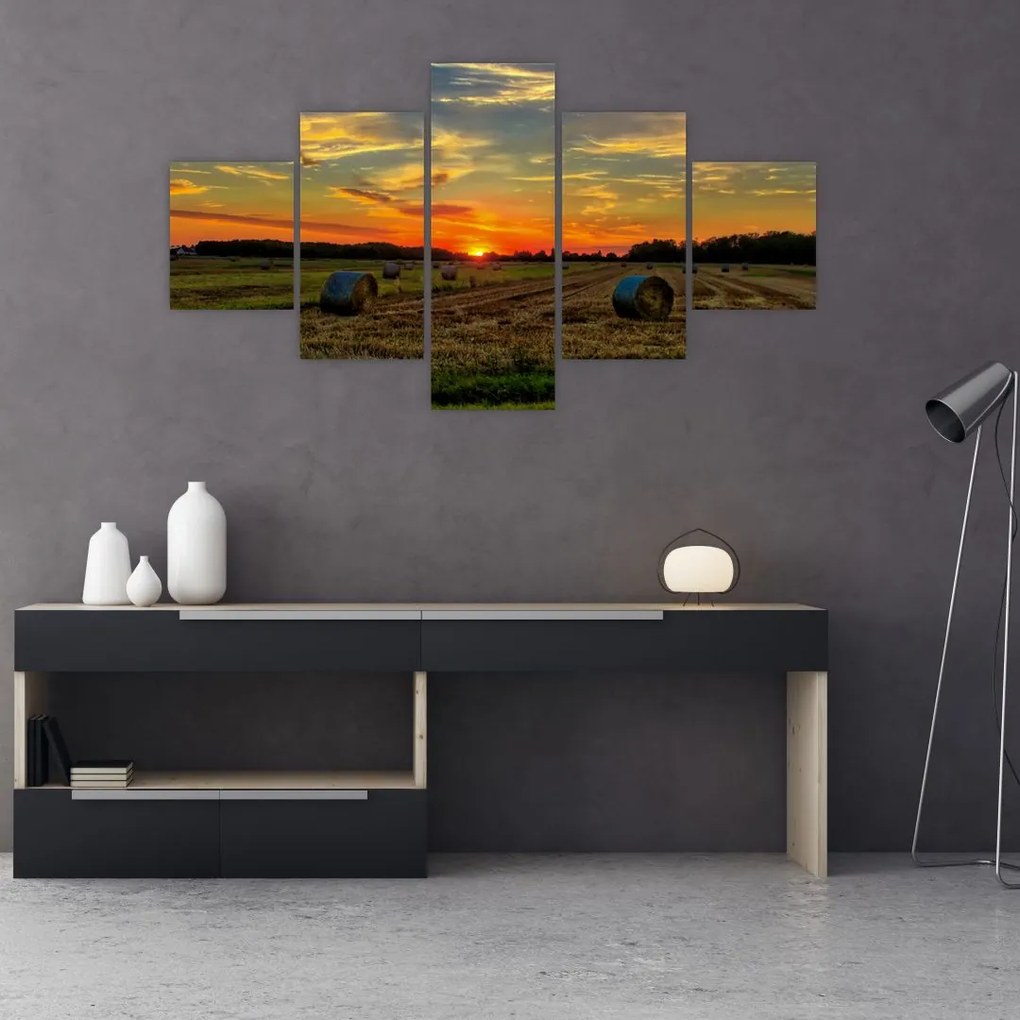 Obraz - Wiejskie bale (125x70 cm)
