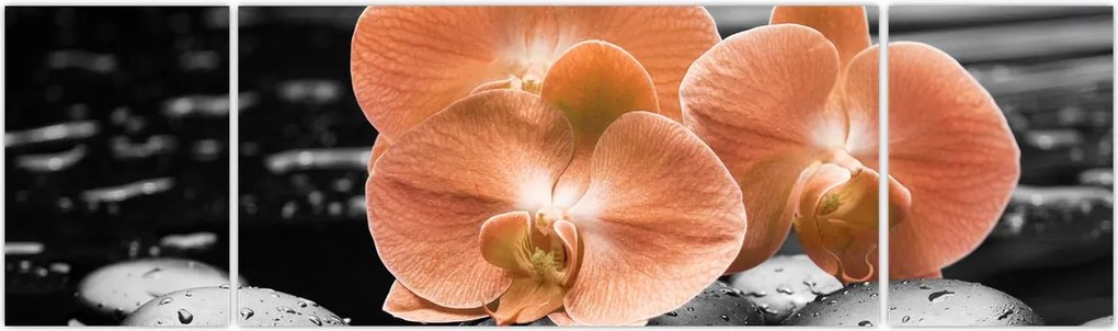 Obraz - Pomarańczowe orchidee (170x50 cm)