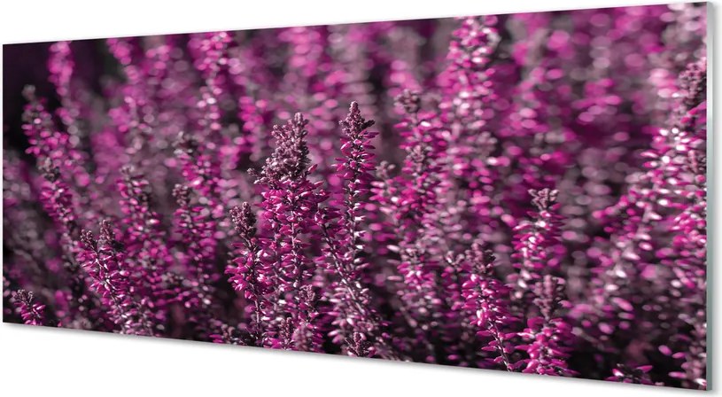 Szkło do Kuchni na Ścianę Jesienne Pole Wrzosów