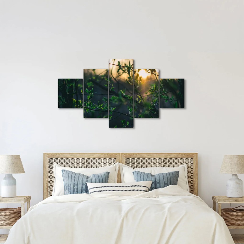 Obraz słońca przeświecającego przez gałęzie drzew (125x70 cm)
