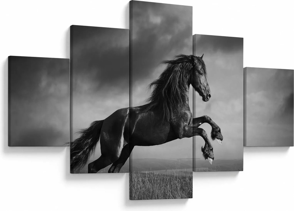 Obraz - Czarny i biały koń (125x70 cm)