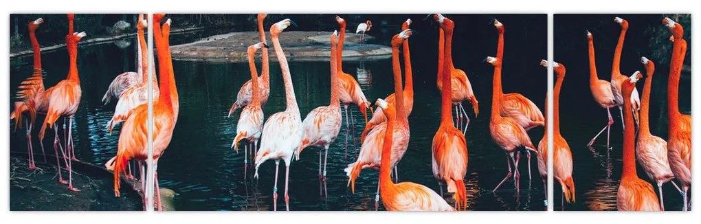 Obraz stada flamingów (170x50 cm)