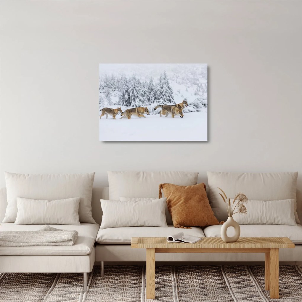 Obraz na szkle - Wilki w górach (70x50 cm)
