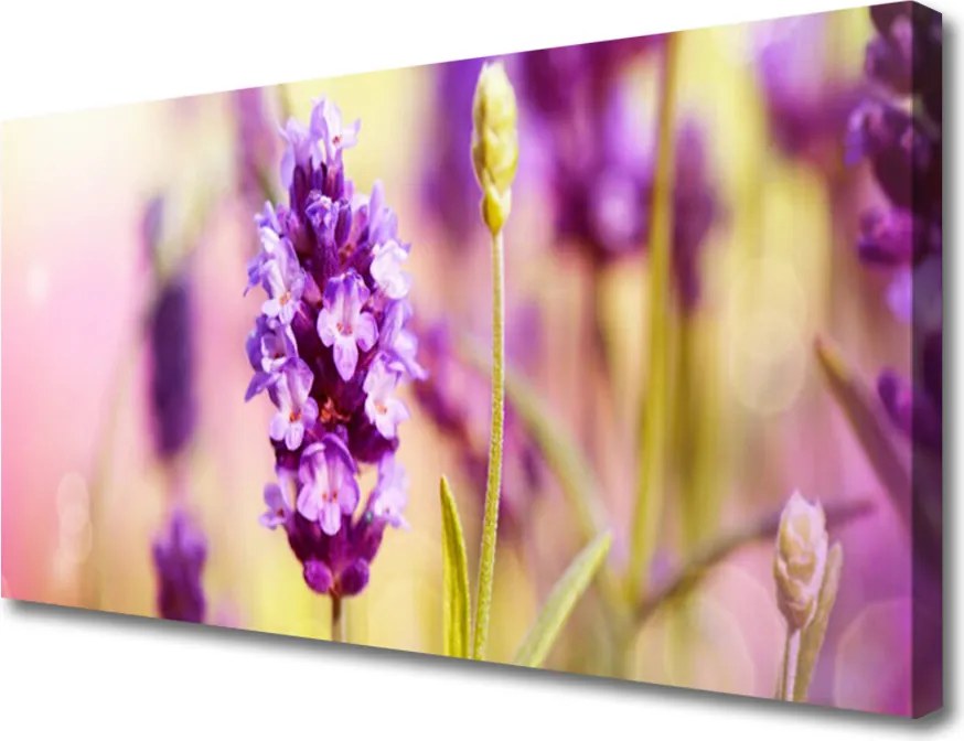 Obraz canvas Delikatność Polnych Kwiatów