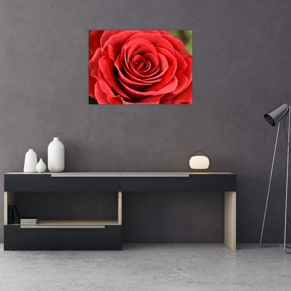 Obraz kwiatu róży (70x50 cm)