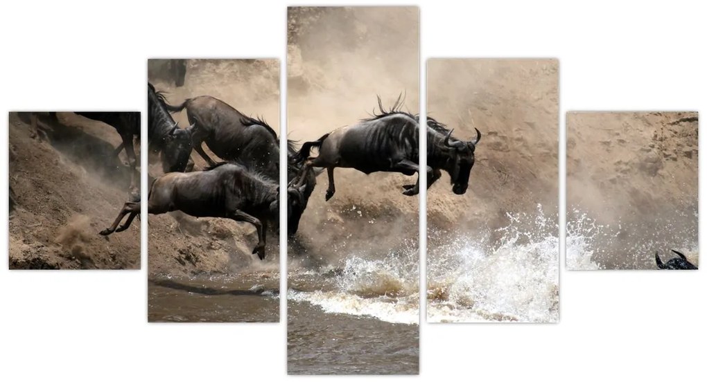 Obraz - Stado antylop gnu (125x70 cm)