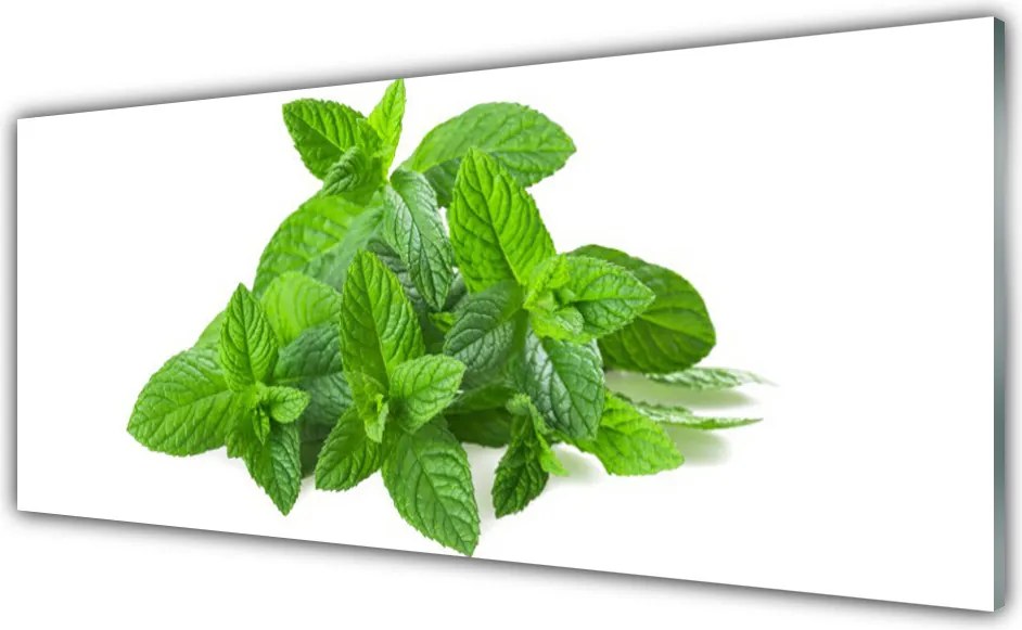 Panel Szklany Świeżość Liści Mięty