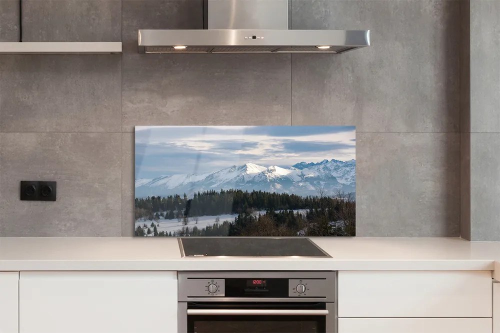 Panel szklany do Kuchni Śnieżna Kraina Gór